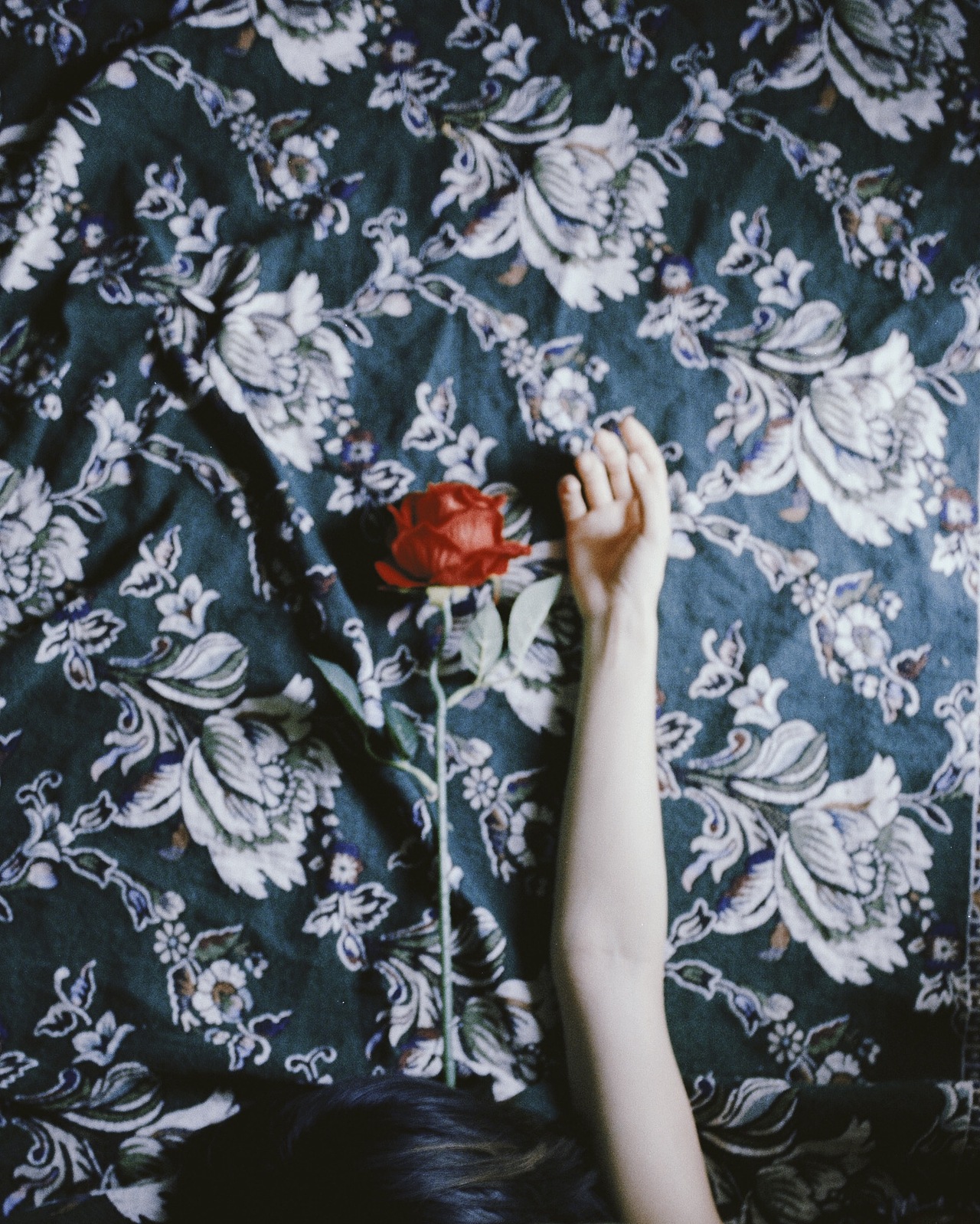 每个人都有属于自己的的一片森林