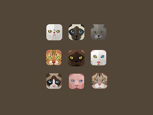 猫icon图标
