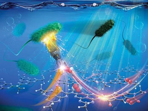 论文配图科研绘图sci杂志封面设计医学插画三维动画（个人主页-ZNTU4MTA5Mjg=） - 其他三维 - 站酷设计师科学动画科研视频原创素材 - 站酷ZCOOL