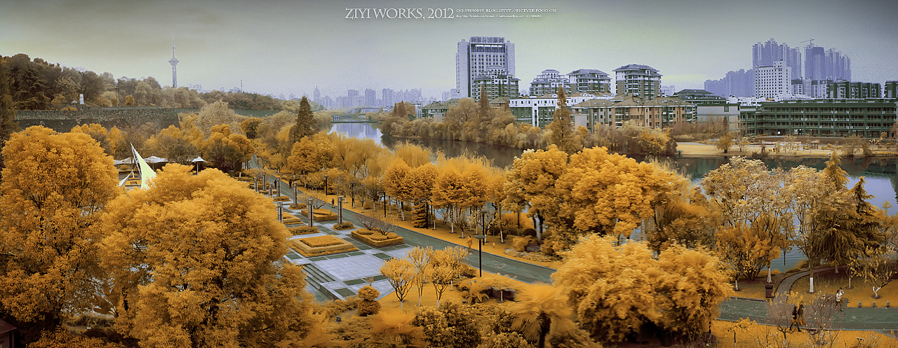 《八字山》590篇