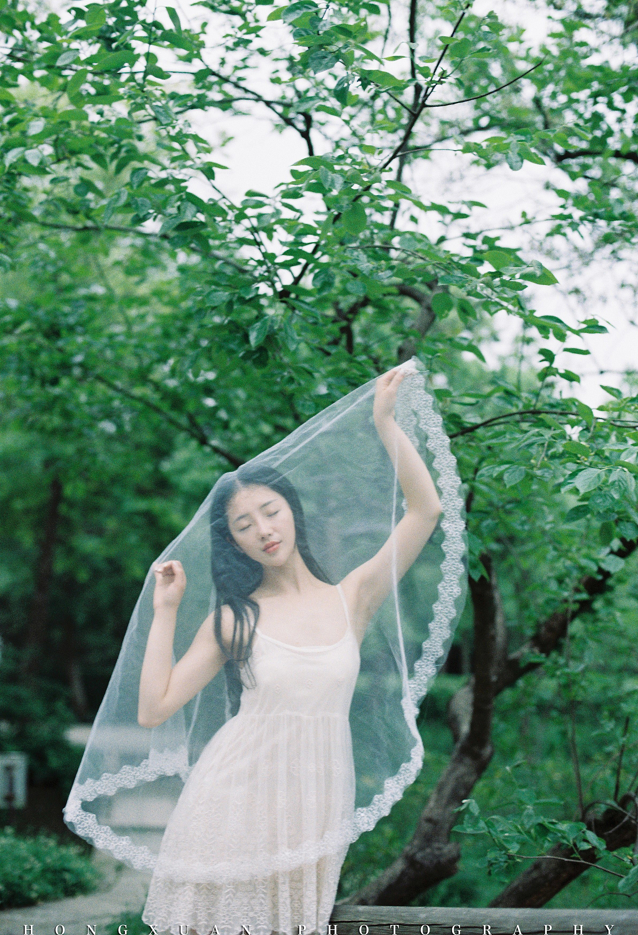 那颗树和那片头纱