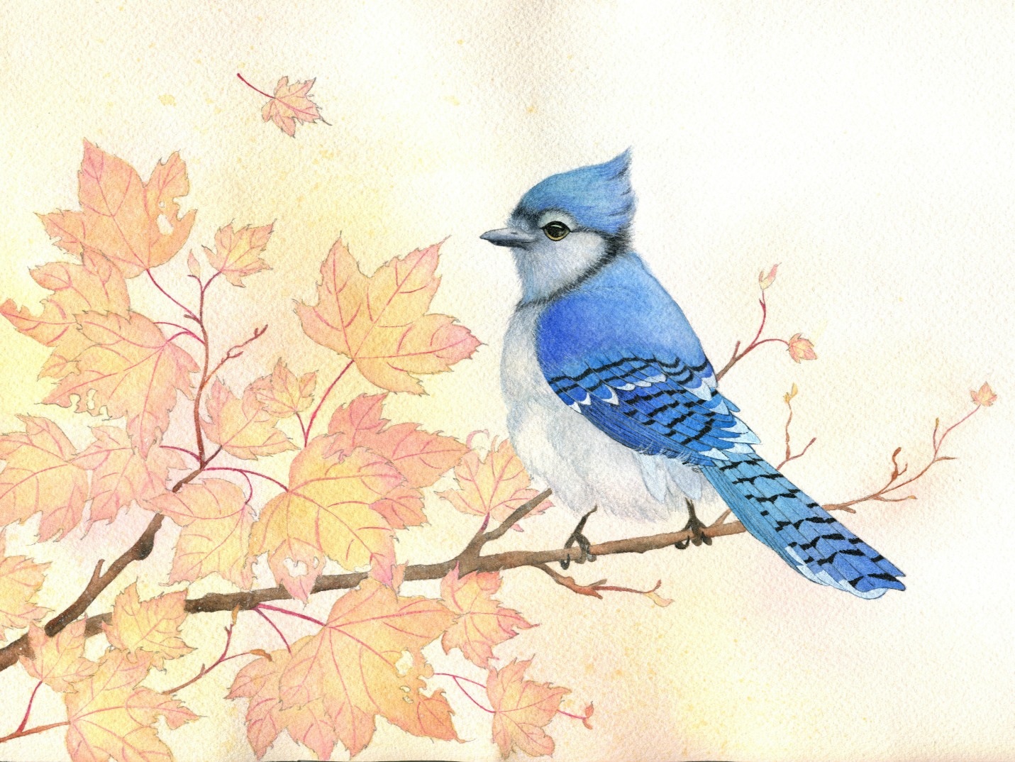 蓝色小鸟图片平面广告素材免费下载(图片编号:4570706)-六图网