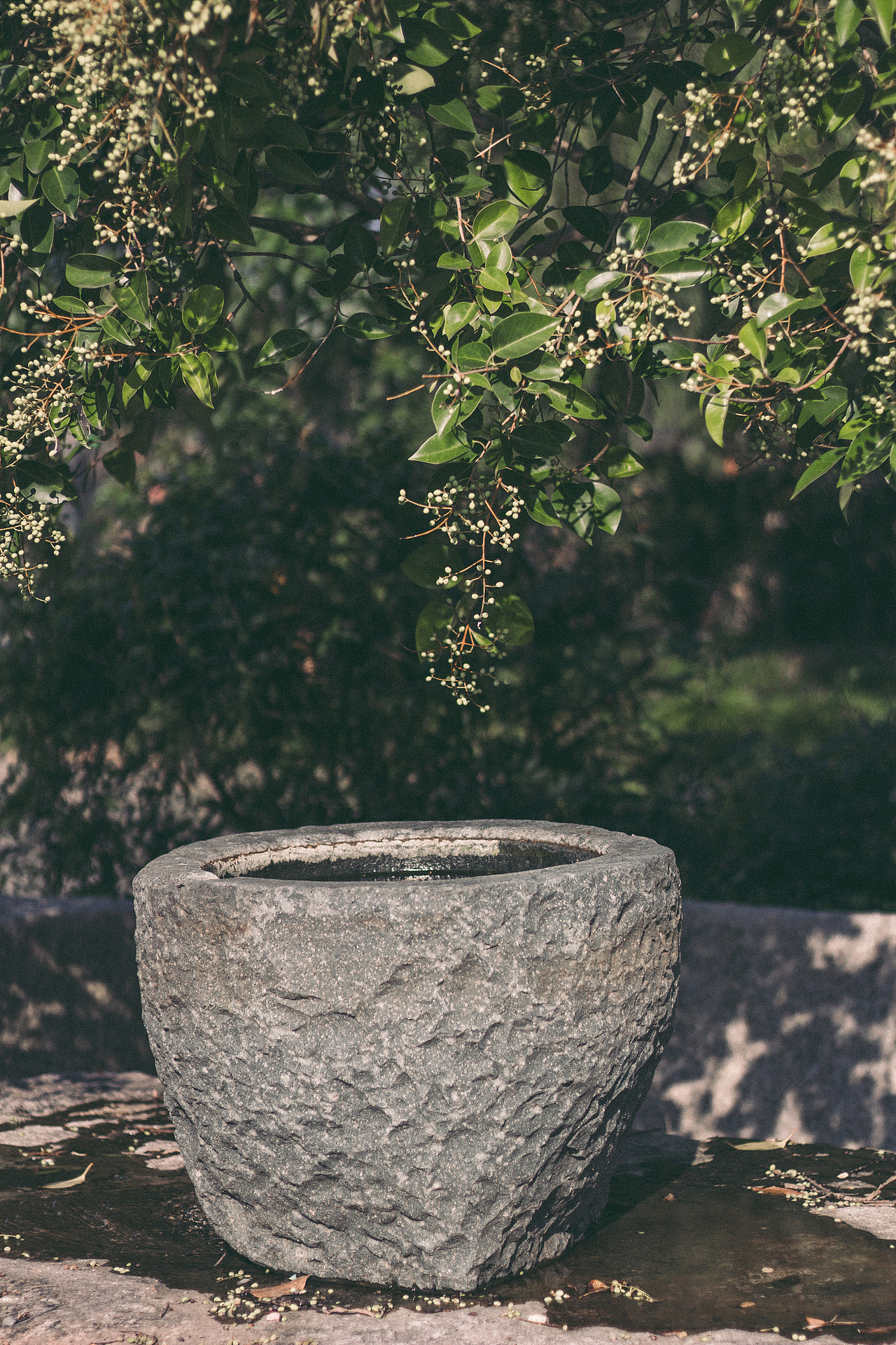 广富林古文化遗址