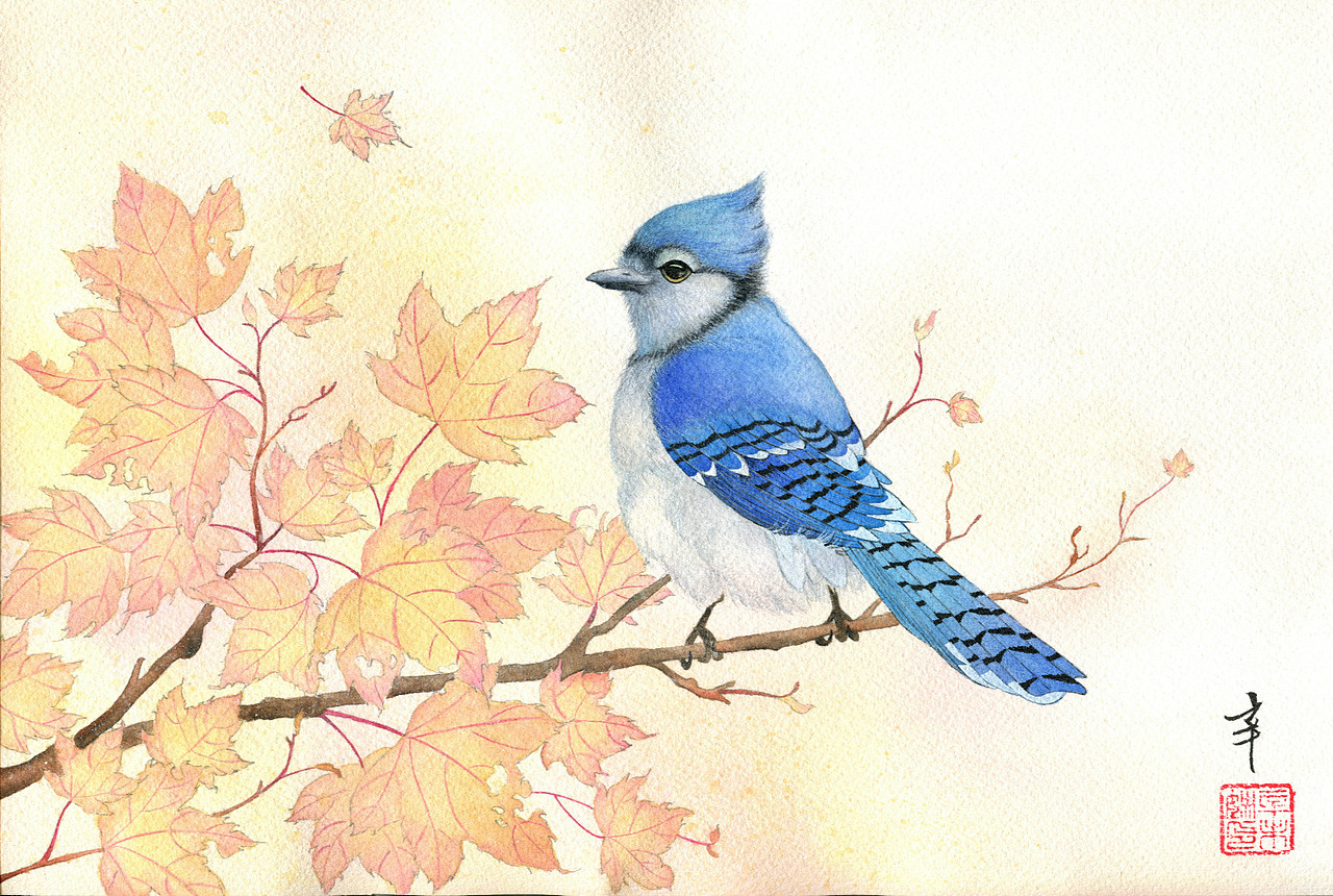 当你看向小鸟的时候，小鸟也在看向你（图ZMjM0Nzk4NzU2） - 艺术插画 - 站酷设计师辛未姎原创素材 - 站酷ZCOOL