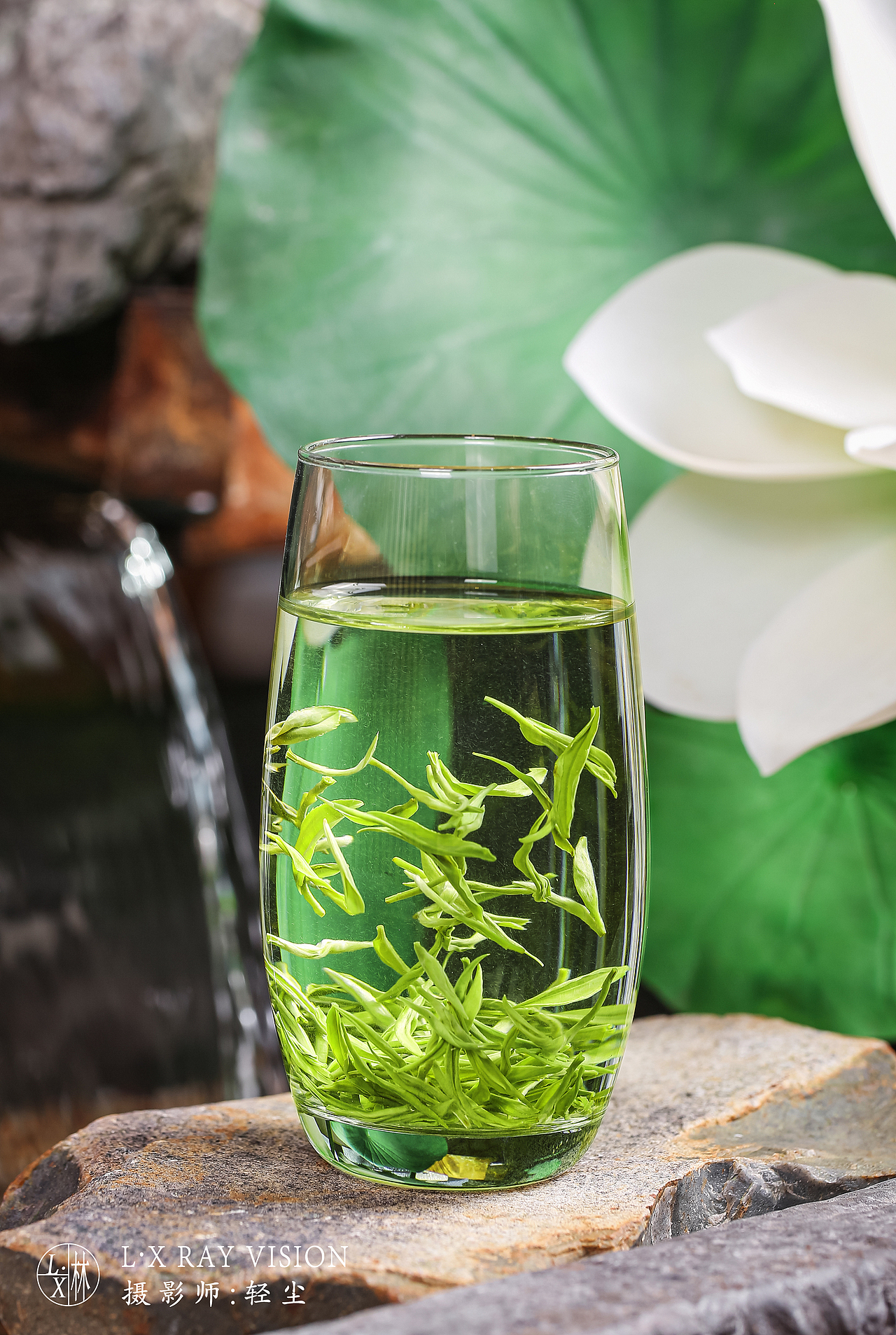 茶叶拍摄 碧螺春商业摄影