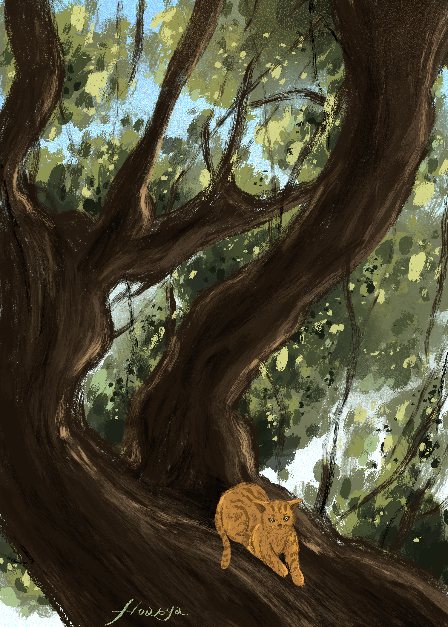 猫（图ZMTcxMzEyOTA4） - 创作习作 - 站酷设计师floatya原创素材 - 站酷ZCOOL