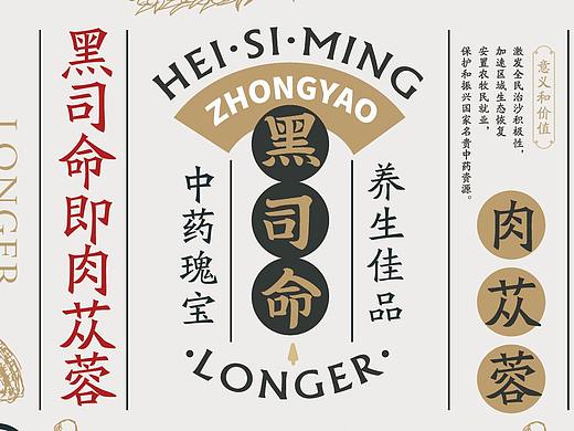 黑司命标志设计