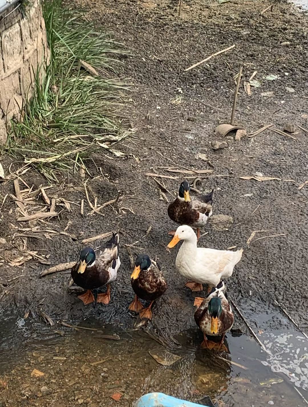 日常随手拍（图ZMzQzNzYzODk2） - 风光摄影 - 站酷设计师唯美随者者原创素材 - 站酷ZCOOL