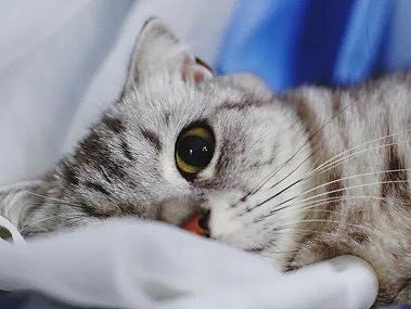 打印机详情与主图（个人主页-ZMzQ5ODY1NzY=） - 电商 - 站酷设计师陆可小小原创素材 - 站酷ZCOOL