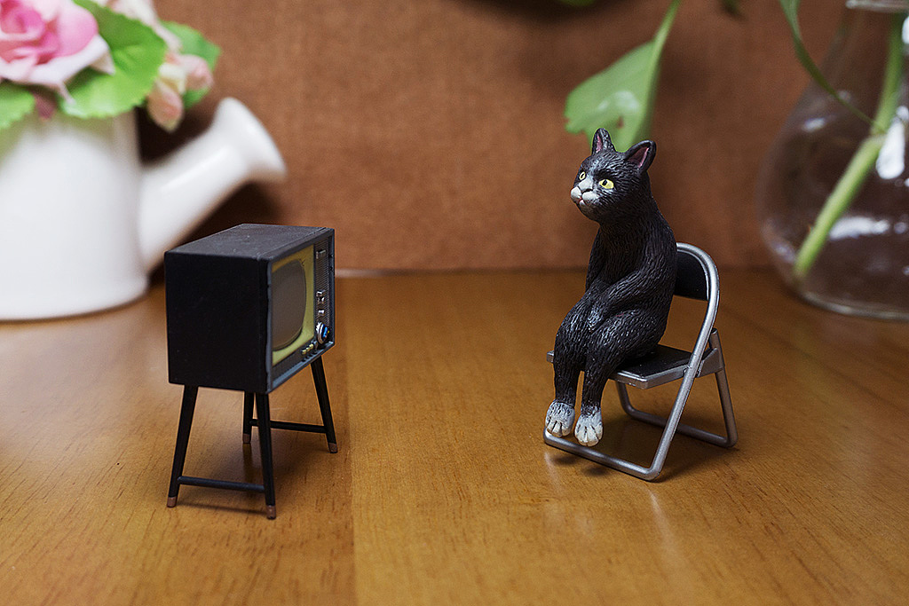 6只小咪：这泡面我们能压一年鸭！（图ZMTQ4ODM3Mjc2） - 手办/模玩 - 站酷设计师WMM王麦麦原创素材 - 站酷ZCOOL