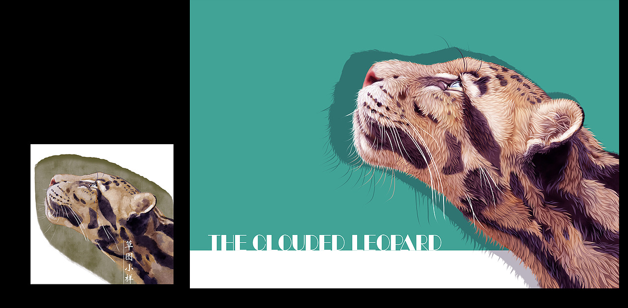 动物插画-云豹,鳄龟_狮子大亨-站酷zcool