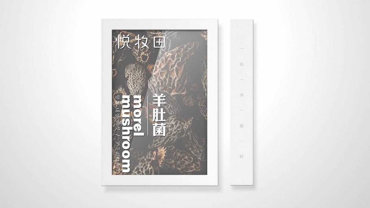 乐世买 X 素造 野生菌很潮（图ZOTE1MzIyMTI=） - 包装 - 站酷设计师素造设计原创素材 - 站酷ZCOOL