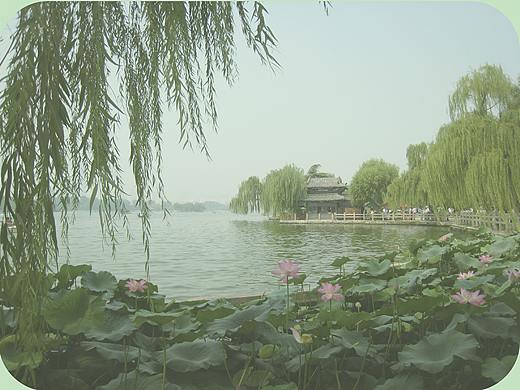 明湖风格（个人主页-ZMjY0ODQ2OTI=） - 海报 - 站酷设计师半懵原创素材 - 站酷ZCOOL