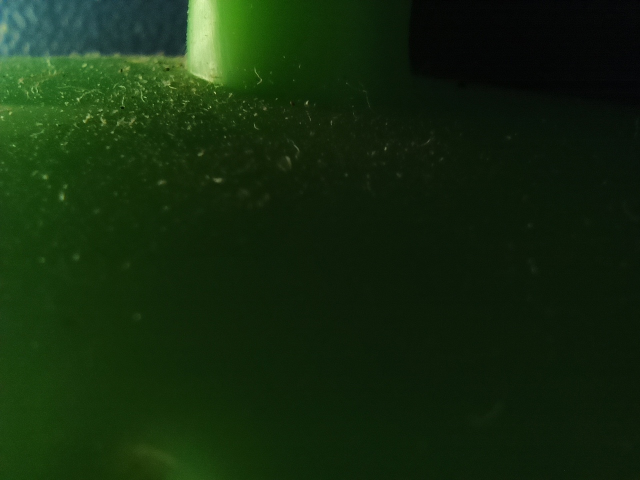 神奇的世界——微距的世界