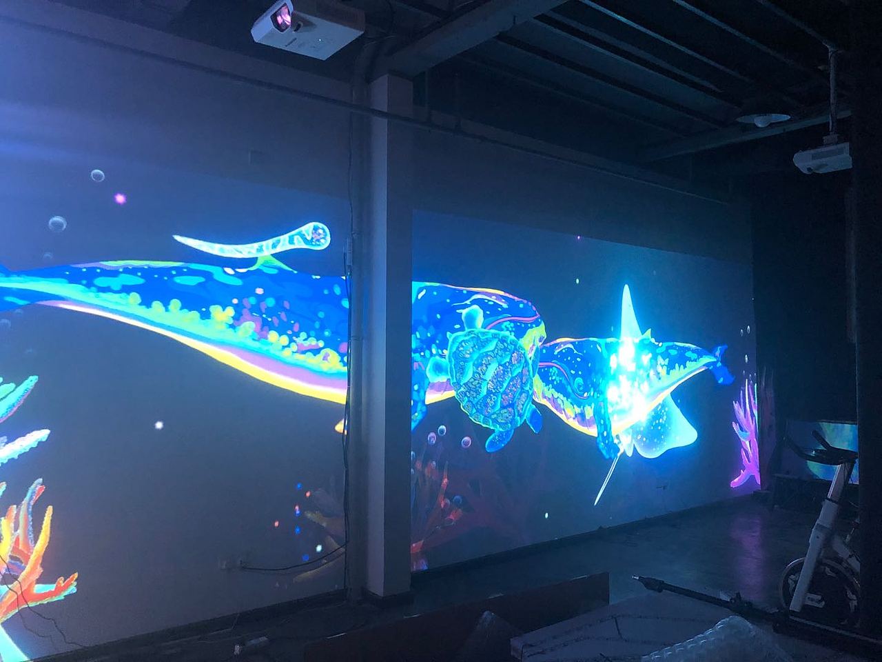 鲸鱼岛全息AR互动光影展