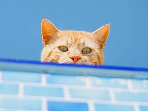 这些小美好·FOURTEEN