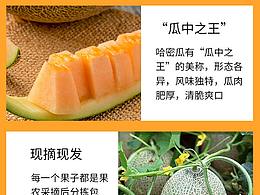 哈密瓜