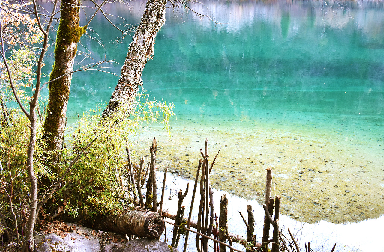 Blue&Green