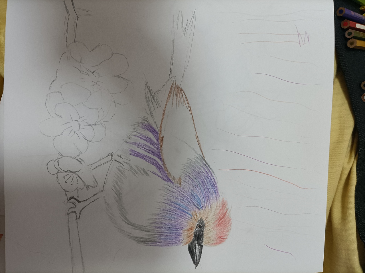 雀5（图ZMjgxNjY5NDEy） - 绘画 - 站酷设计师瑞琪插画原创素材 - 站酷ZCOOL