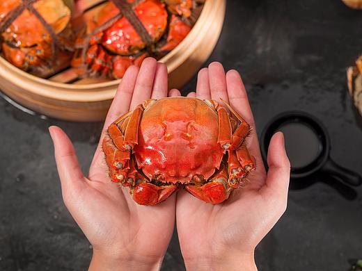 大闸蟹拍摄案列 2.0