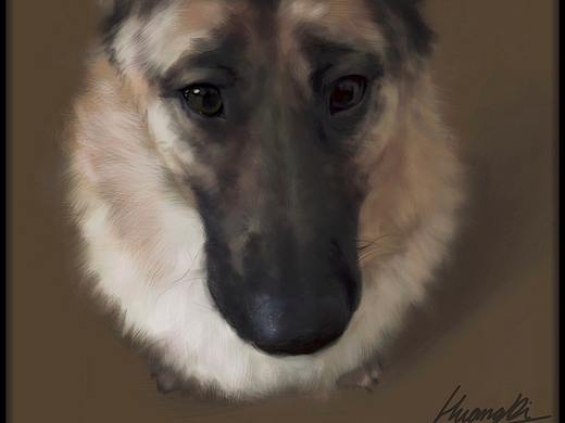 狗年大吉（个人主页-ZMjYxMjE1MTI=） - 创作习作 - 站酷设计师miniHD原创素材 - 站酷ZCOOL