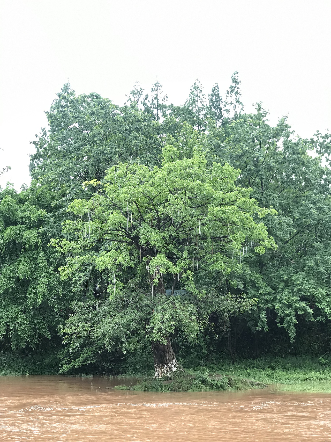 一些随意拍摄作品~（新手-不好的地方请多多指教）！