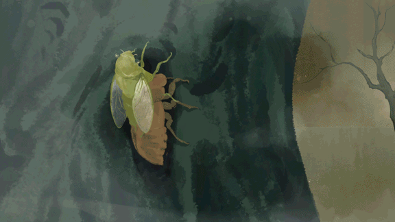 惊呆它们的AIRBOT到底有何奥秘？（图ZMjA4MjU5OTE2） - Motion Graphic - 站酷设计师至幻蘑菇原创素材 - 站酷ZCOOL