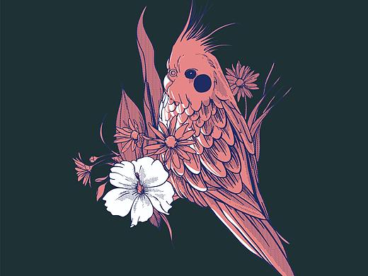 矢量插画—习作