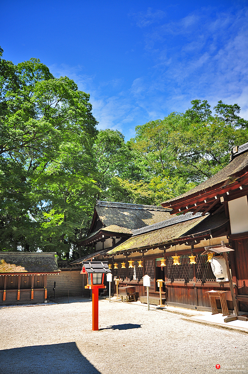 不一样的京都-逛寺庙