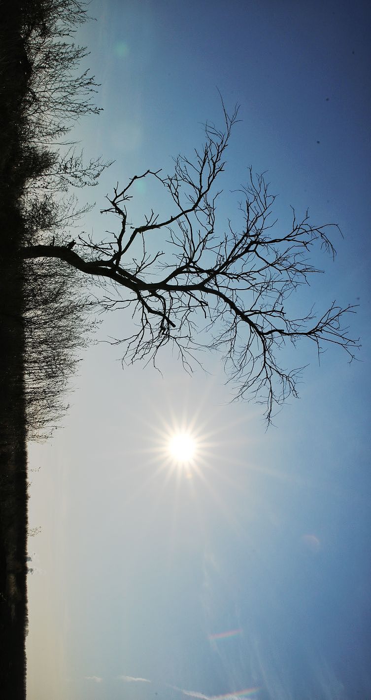 黑土地的初冬季