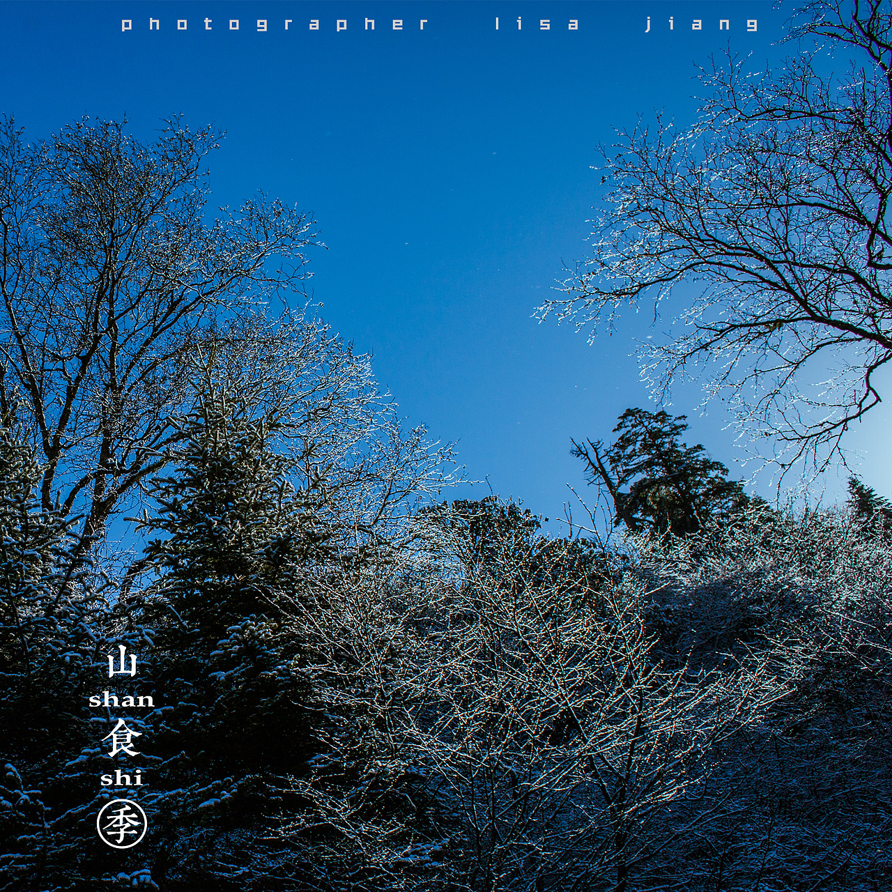 小品四季（图ZMTA4NTgyNTc2） - 产品摄影 - 站酷设计师挲lisa原创素材 - 站酷ZCOOL