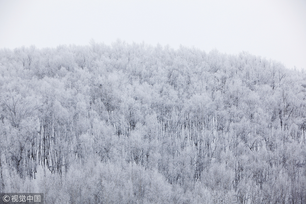 无所畏惧的路人甲的个人主页（封面预览） - 主页封面设置 - 站酷设计师无所畏惧的路人甲原创素材 - 站酷ZCOOL