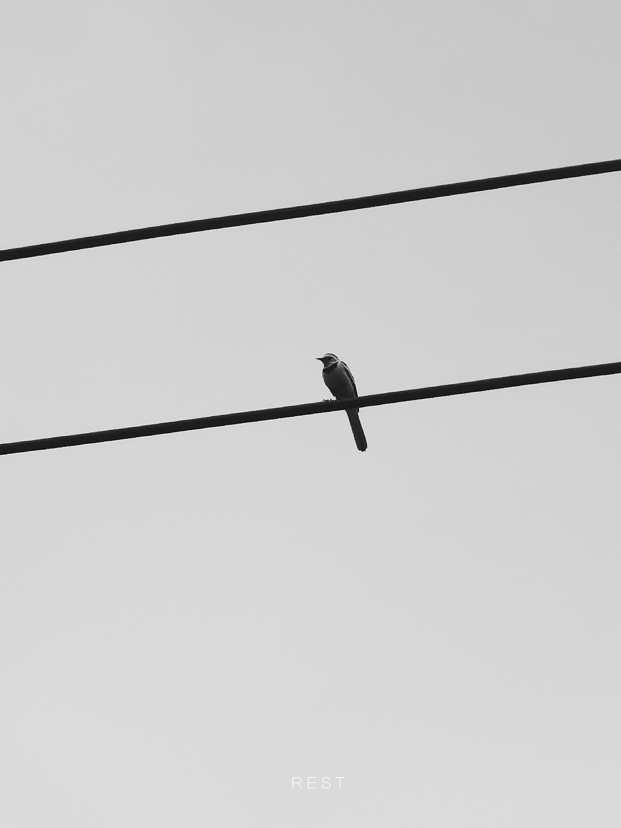 手机摄影,各种风格大杂烩