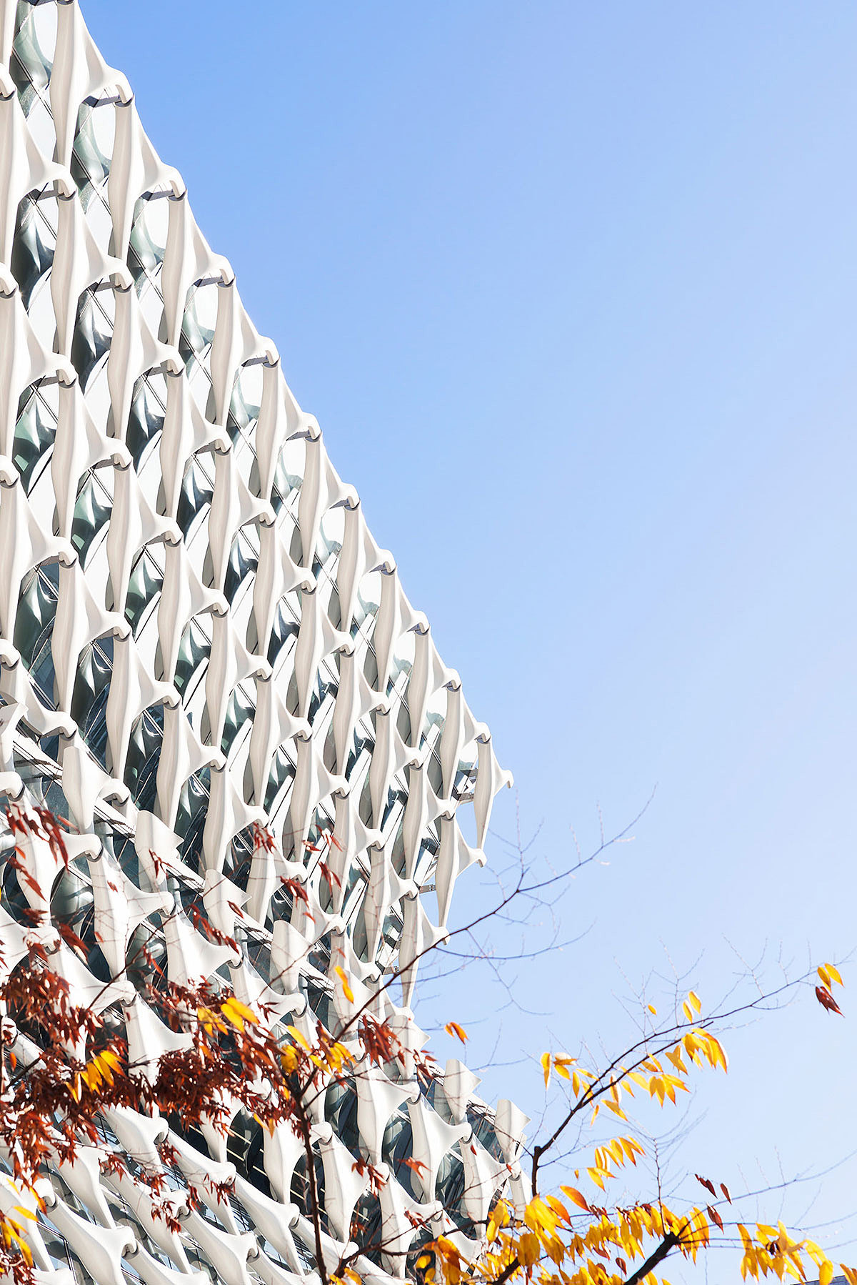 ZINGVR全球建筑摄影 · 城市几何学 | 首尔