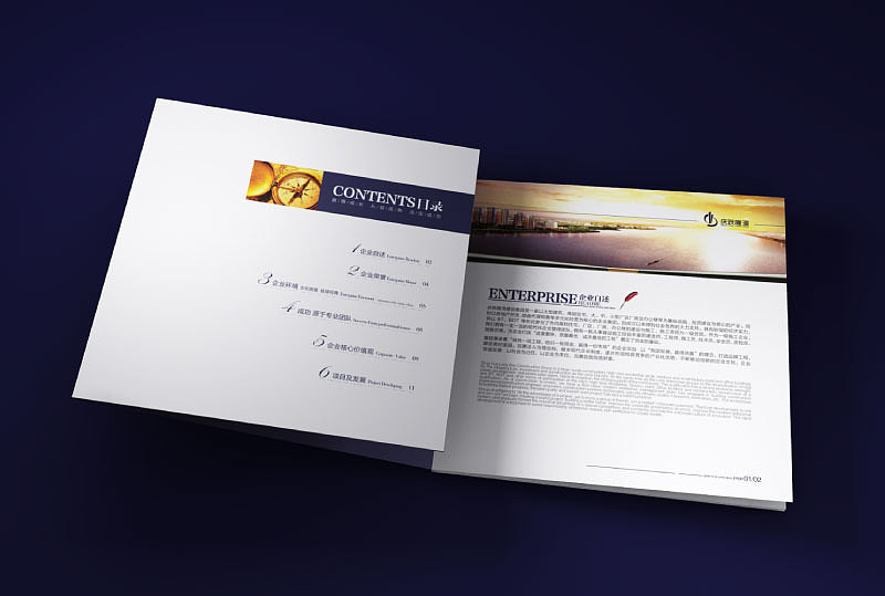 庆跃隆湾画册设计