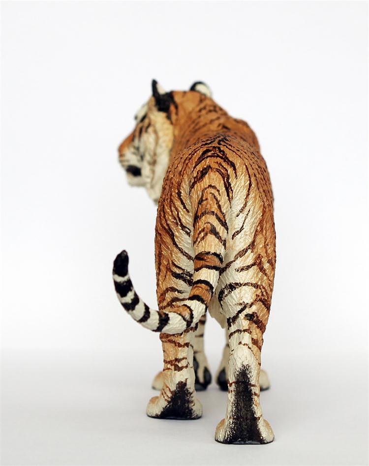 已灭绝虎种里海虎_画画的大飞-站酷zcool