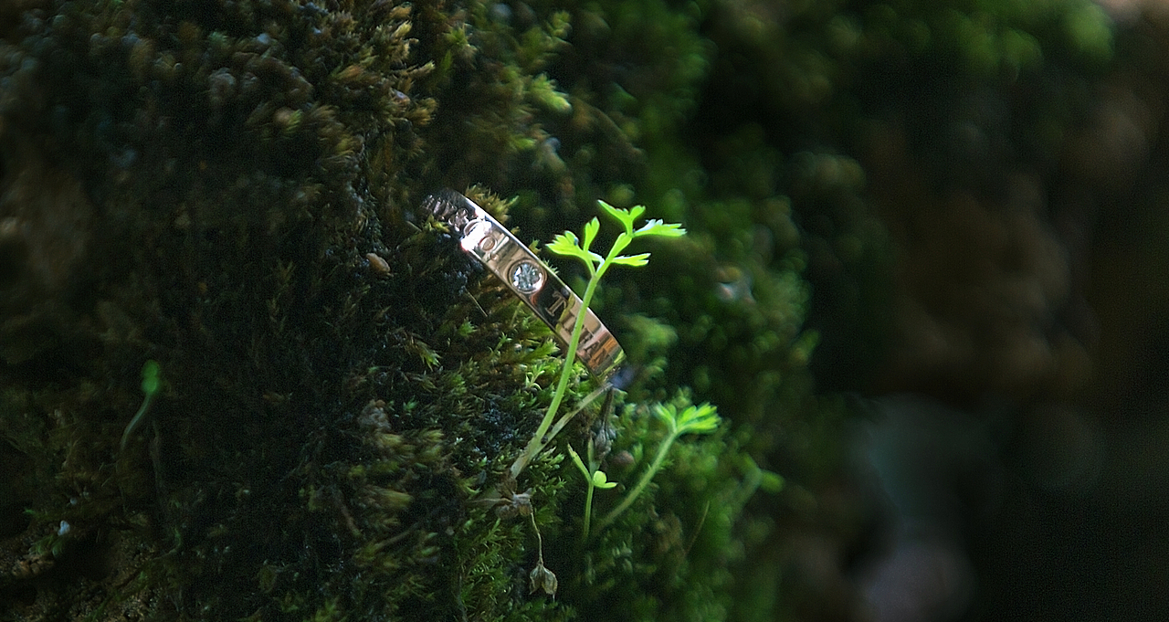 中国黄石婚礼跟拍