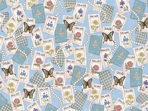 植物蝴蝶卡片柄