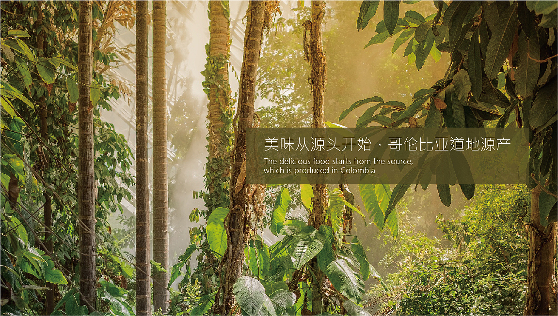 logo设计，VI设计，树懒IP设计，咖啡logo设计（图ZMjQ4MDE5MTM2） - 品牌 - 站酷设计师曰知智品牌设计师原创素材 - 站酷ZCOOL