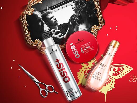 施华蔻专业 2017