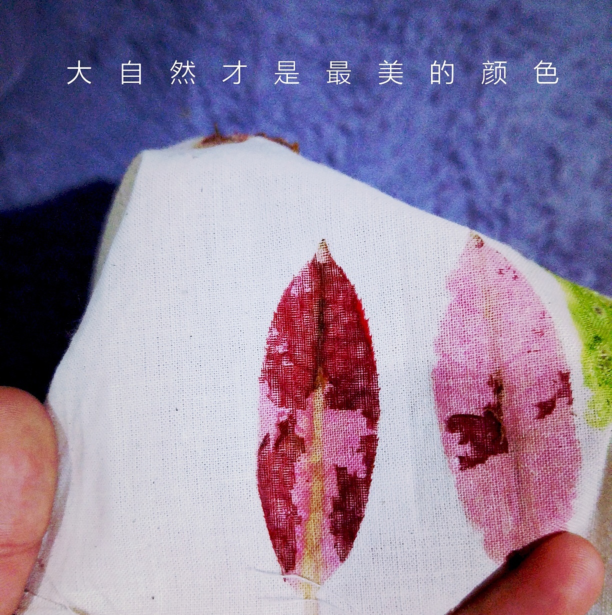 你只需要
一个石头,一块棉布,几片叶子<br>就能亲手把自然的植物及颜色定格在你的时光里