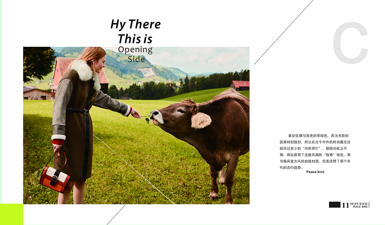 太平鸟 宣传画册（图ZMTMyNzk3MzI0） - 书籍/画册 - 站酷设计师王木木阿姨原创素材 - 站酷ZCOOL