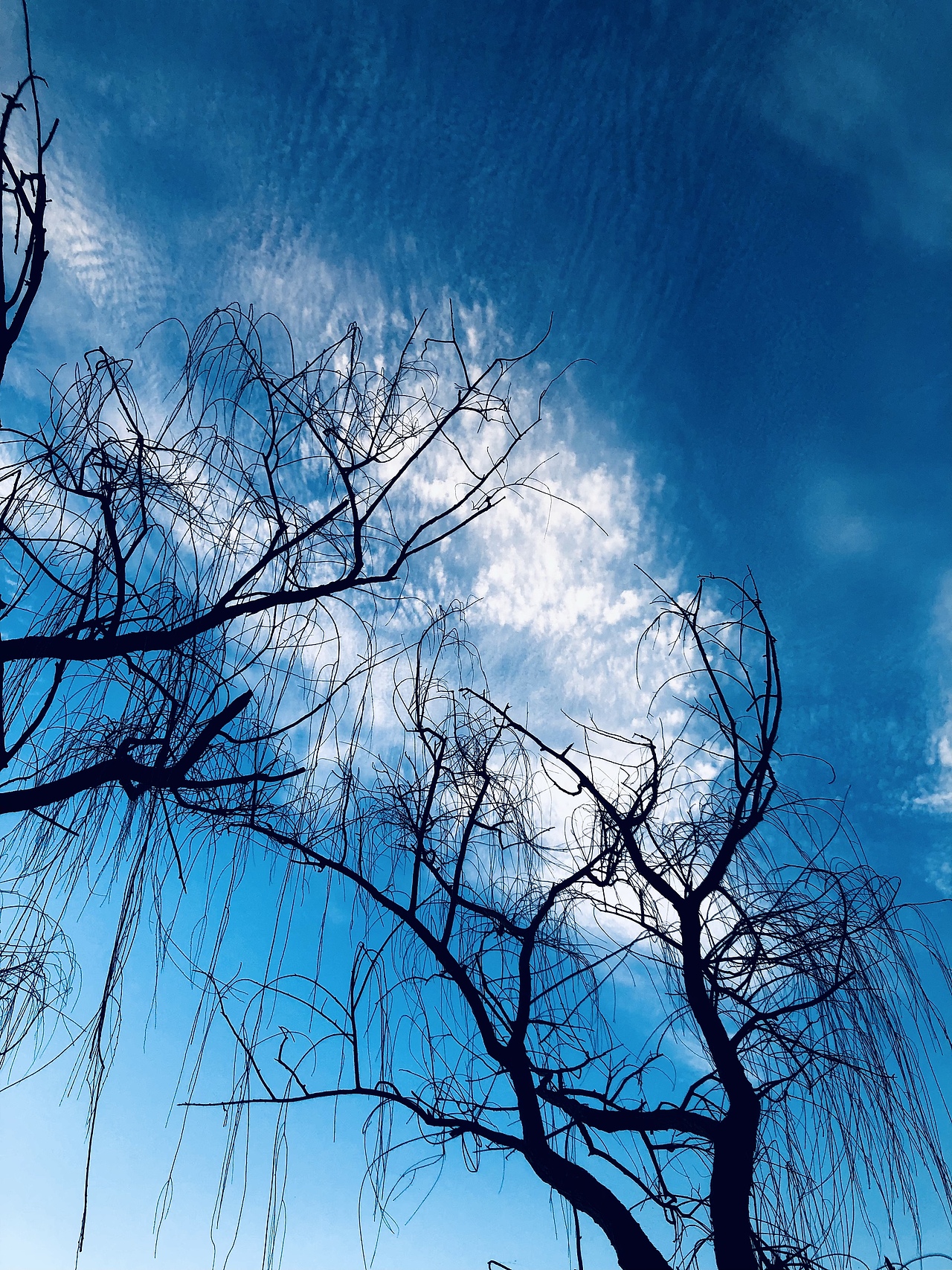 《眼前便是最好》（图ZMzA5MjA0ODcy） - 其他摄影 - 站酷设计师简浩原创素材 - 站酷ZCOOL