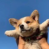 明杰很聪明的头像