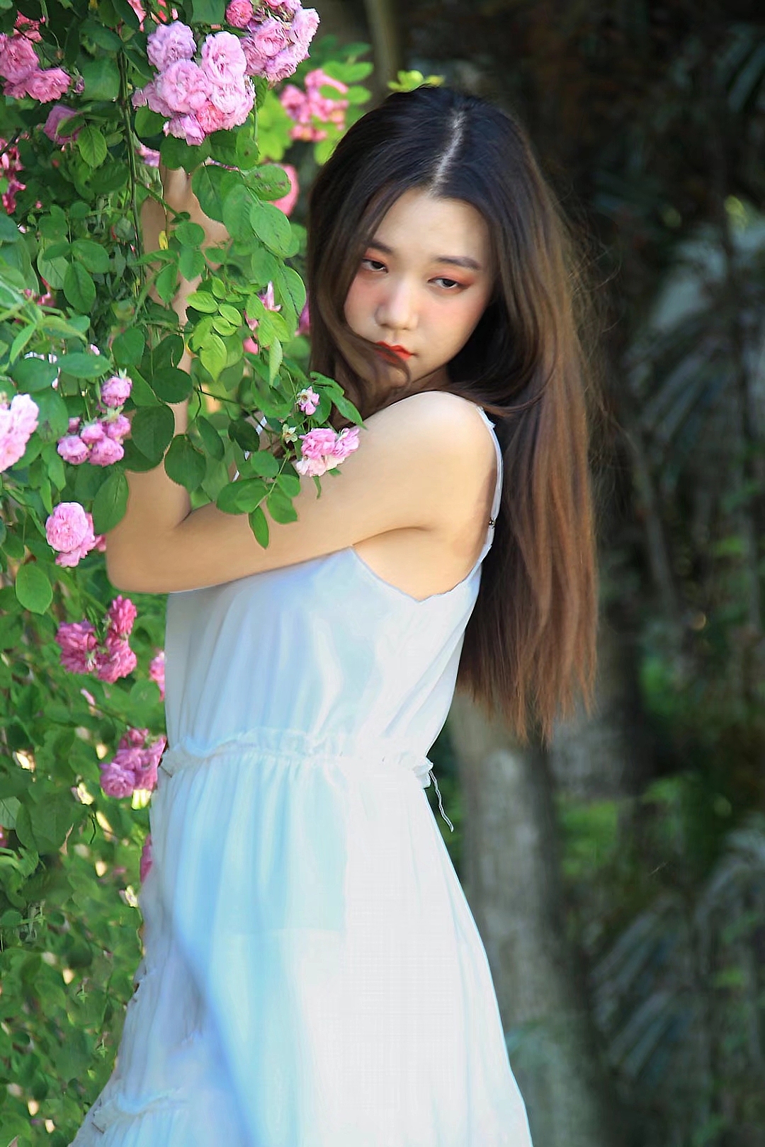 《薔薇》（圖ZMjIzNDY0Nzk2） - 修圖/后期 - 站酷設(shè)計師jacklongcan原創(chuàng)素材 - 站酷ZCOOL