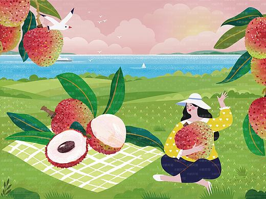 农产品水果包装荔枝插画设计