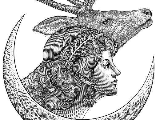 版画风格插画：阿尔忒弥斯