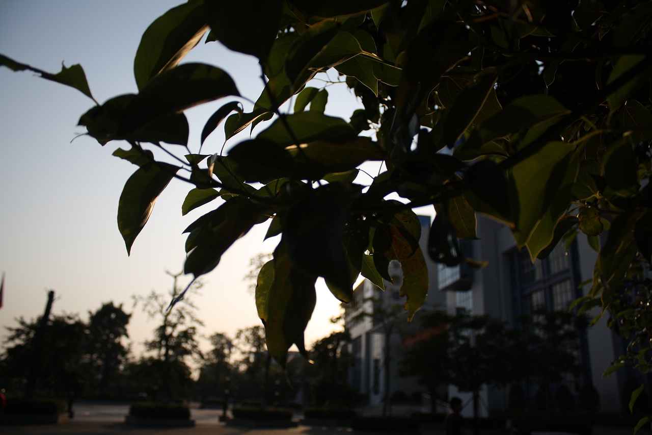 中山职业技术学院随影