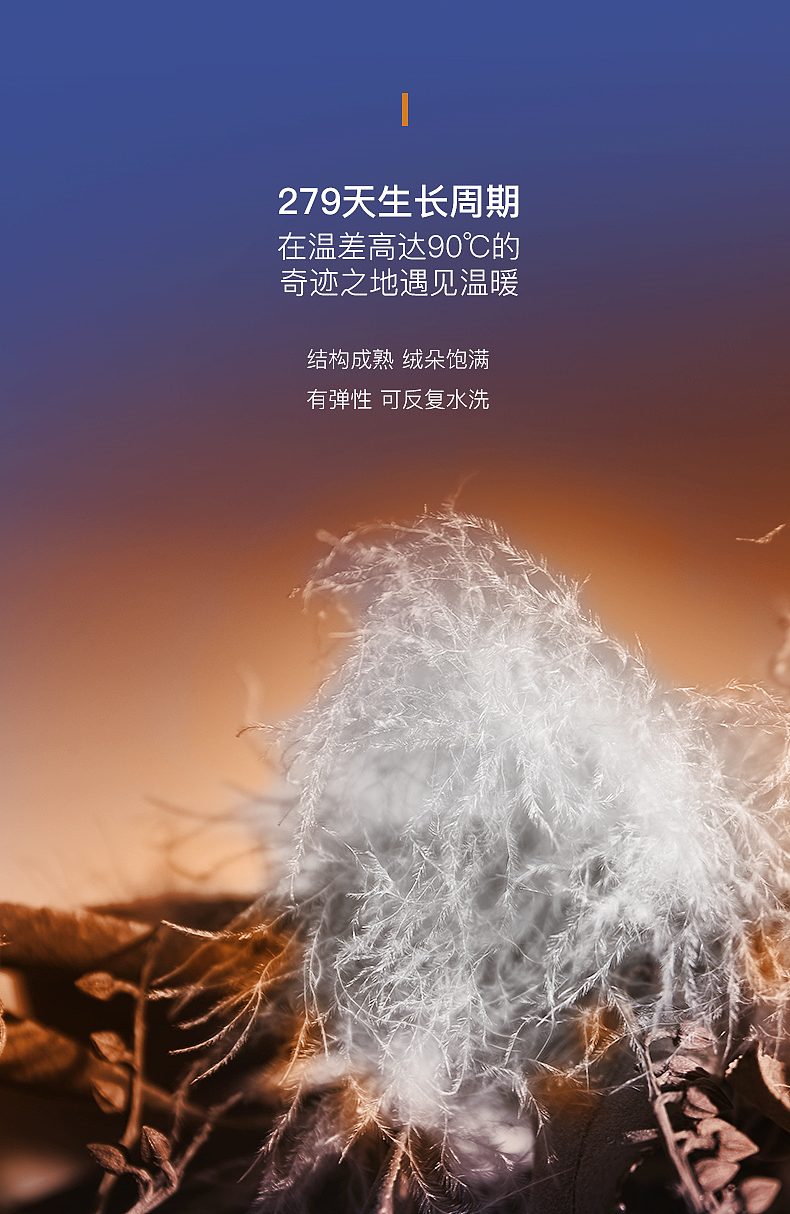 羽绒被|DOWN KINGDOM × 虎嗅视觉策划