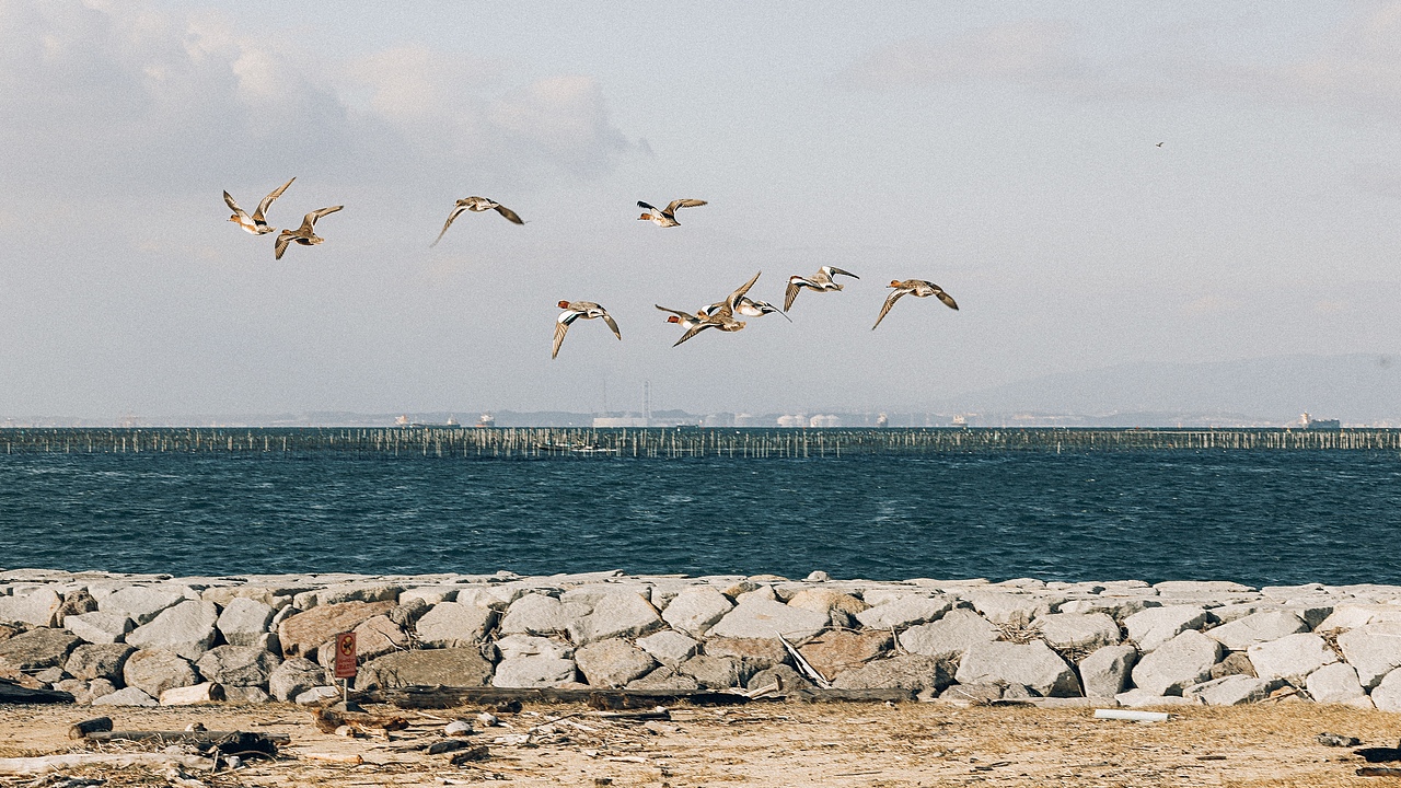 北海道小樽，出发，只为旧路还家  